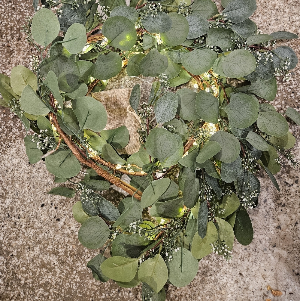 Set of 2 Lights.com Eucalyptus Garlands